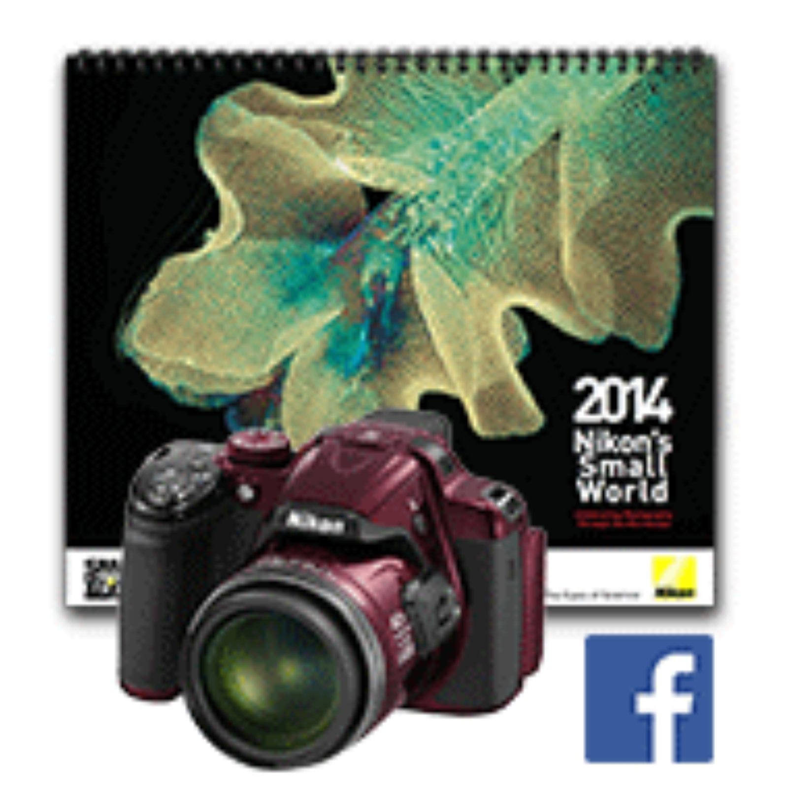 Nikon Instruments Small World Calendar Sweepstakes News Nikon’s