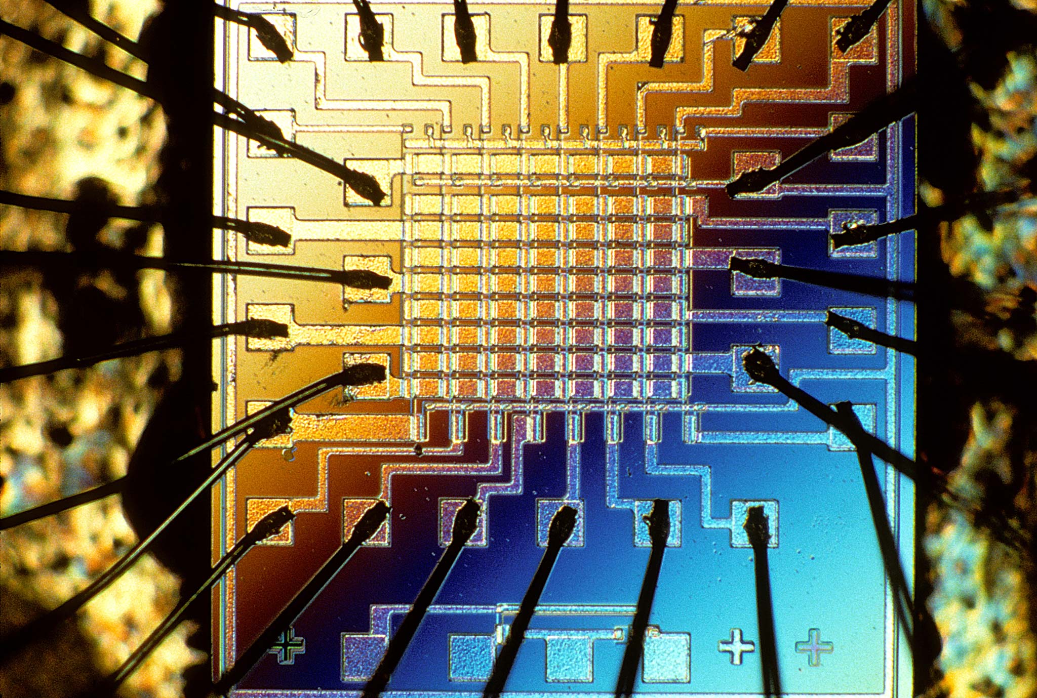 Surface of electronic chip | 1988 Photomicrography Competition | Nikon