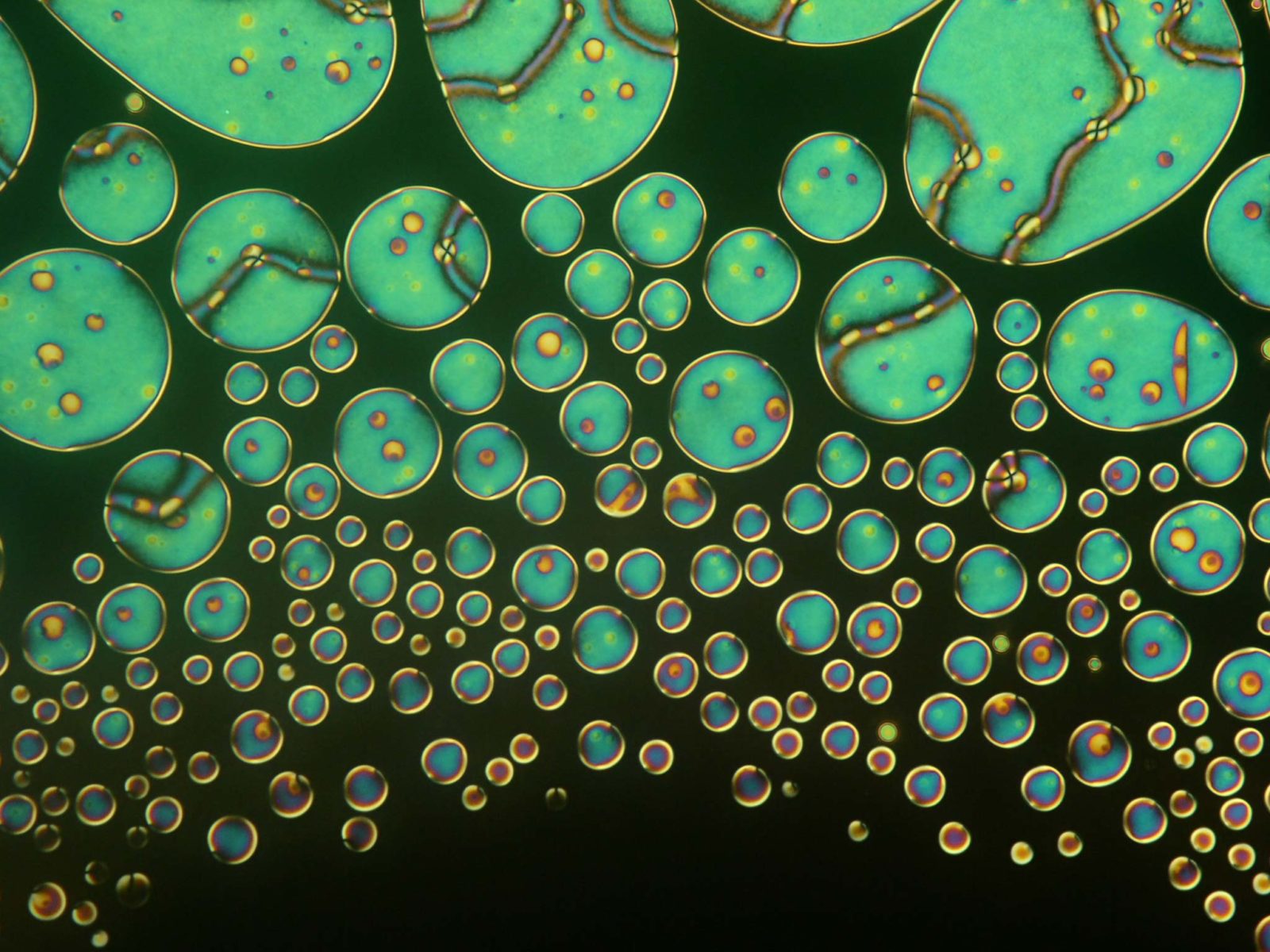 introductory-chapter-nematic-liquid-crystals-intechopen