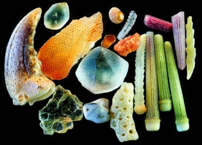 Sand | Nikon’s Small World